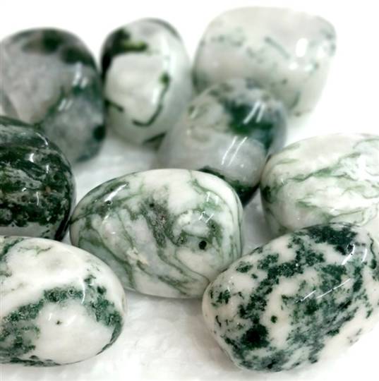 Small Tree Agate Tumbled Piece
